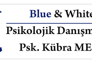 bluewhite-psikolojik-danismanlik-ankara-psikolog