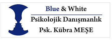 bluewhite-psikolojik-danismanlik-ankara-psikolog-big-0